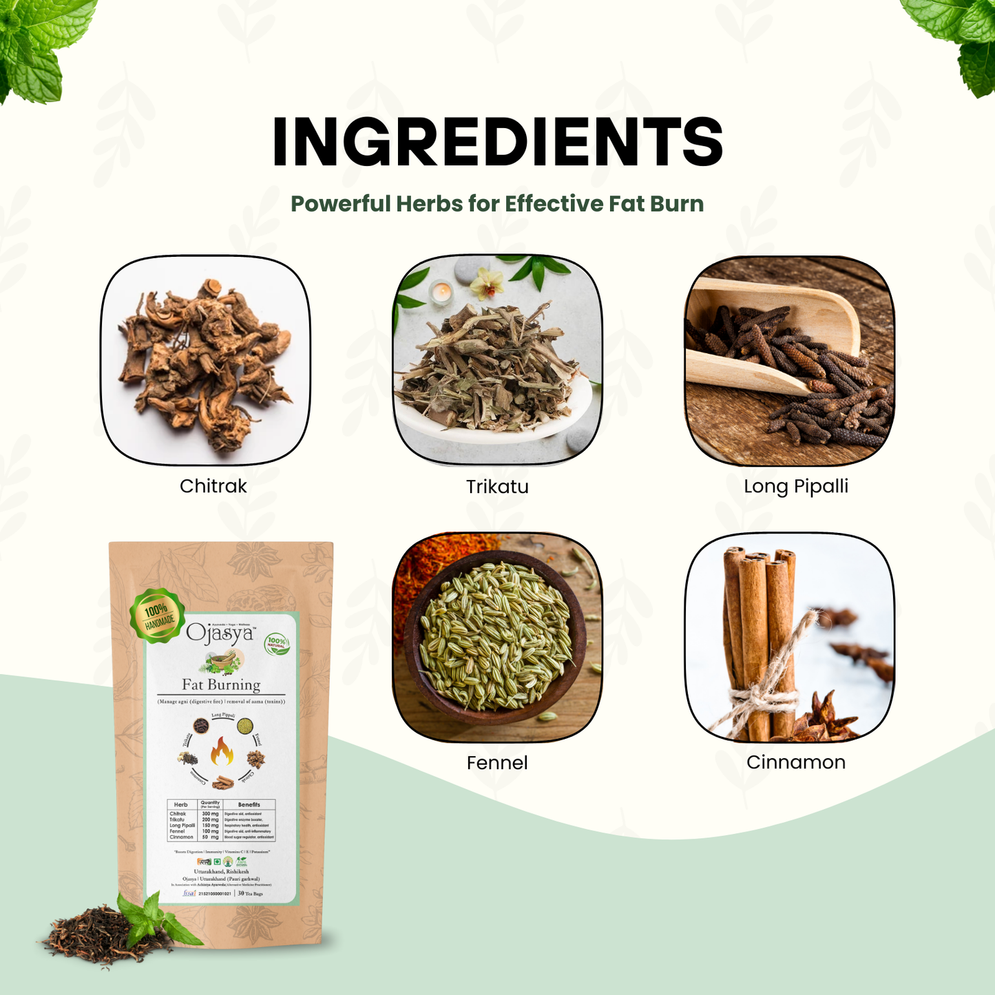 Ojasya Fat Burning Tea - Benefits for Weight Loss, Craving Control, and Overall Health